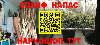 кокаин колумбия Кингисепп